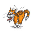 © -Misha - Vector sketch of scared cat