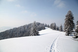 Fototapeta  - Winterlandschaft