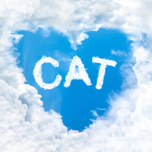 Cat Word Inside Love Cloud Blue Sky Only