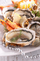 oyster, shrimp and shellfish