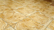 glazed tile on the floor