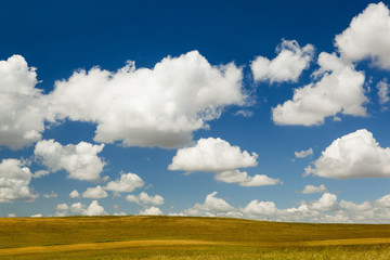 Wall Mural - Beautiful landscape
