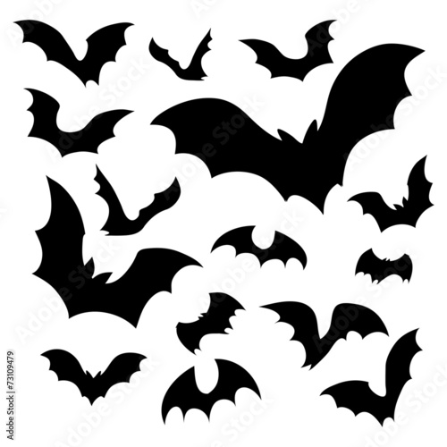 Obraz w ramie bats silhouettes