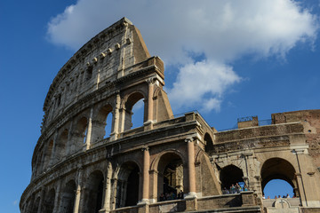 Wall Mural - Colosseum in Rome, Italy