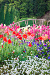 Wall Mural - flower garden