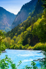 Wall Mural - Beautiful river in the forest near Alps