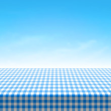 Empty Picnic Table Covered With Blue Checkered Tablecloth