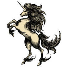 Heraldry Unicorn Drawn In Engraving Style