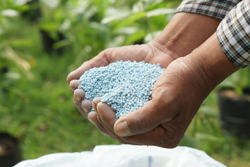 Wall Mural - hands holding artificial fertilizer