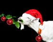 White new year goat in santa claus hat