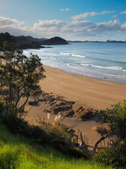 Canvas Print - Wild Beach in Bay of Islands, Northland New Zealand