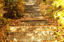 Stone Steps In Autumn Park