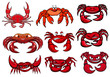 Red cartoon marine crabs set