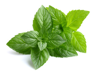 Wall Mural - Peppermint leaves