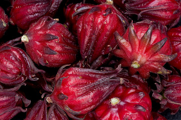 Poster - Roselle (Hibiscus sabdariffa)