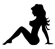 © Al - Trucker Girl