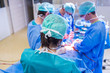 © lightpoet - Team of surgeons performing an operation on a patient
