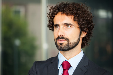 Poster - Portrait of an handsome business man