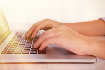 Wall Mural - Female hands working on laptop on light background