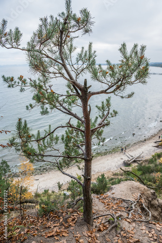 Obraz w ramie Autumn in GdyniaKepa Redlowska cliff-like coastline in Gdynia, P