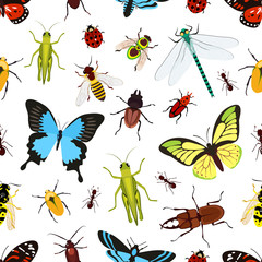 Wall Mural - Insects seamless pattern