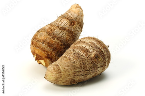 里芋 Stock Photo Adobe Stock