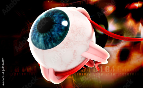 Naklejka dekoracyjna Human eye