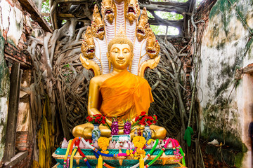 Wall Mural - Buddha statue in Ancient Thai Church at Sang Kratai Temple