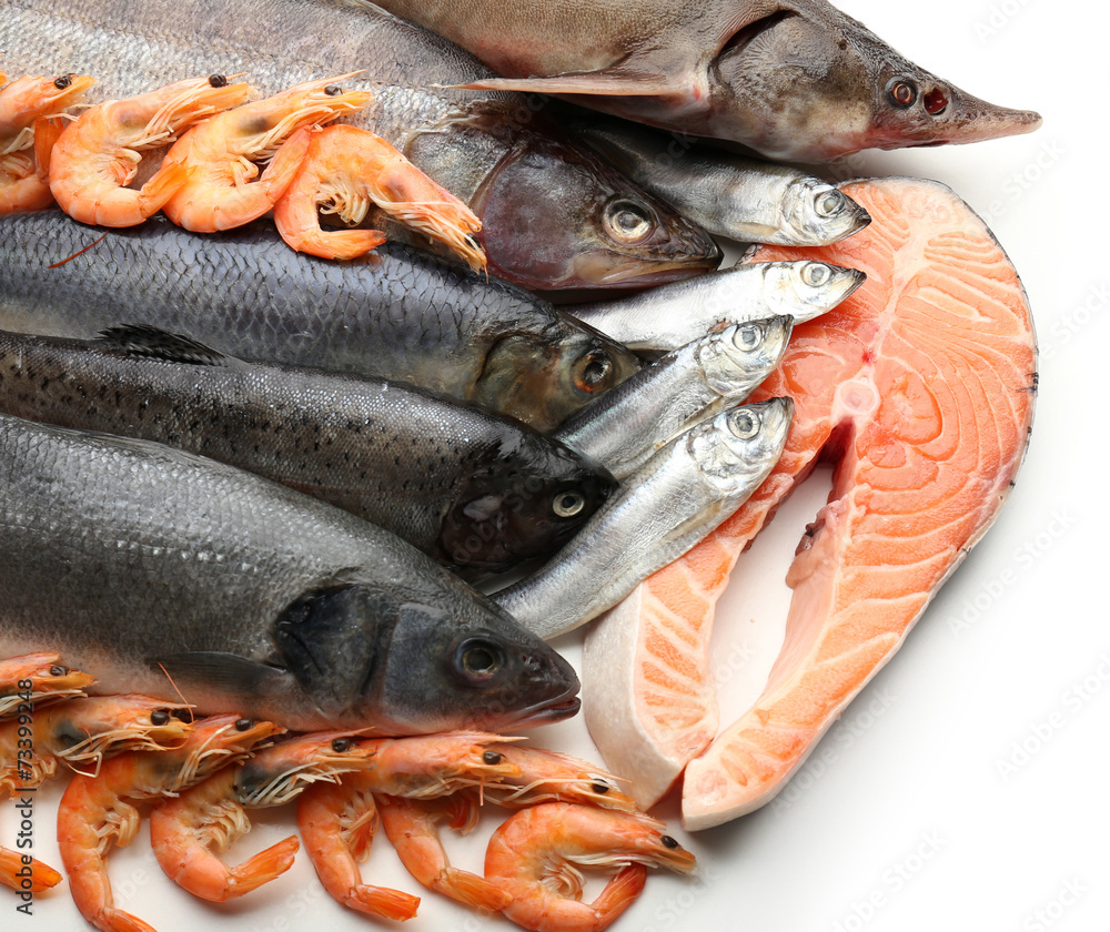 Fresh catch of fish and other seafood close-up