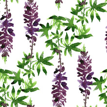 Seamless Pattern With Lupine Drawing By Watercolor