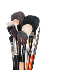 Professional make-up brush