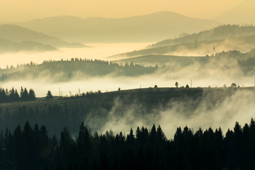  cold fog on hot sunrise in mountains