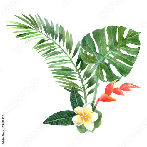Naklejka dekoracyjna Tropikalne rośliny na białym tle