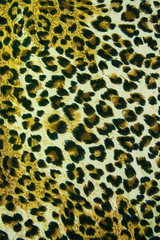 Wall Mural - Leopard leather pattern texture background