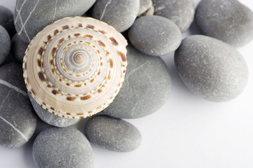 Natural spa elements- seashell with starshell and stones on whit