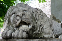 Sleeping Lion Statue