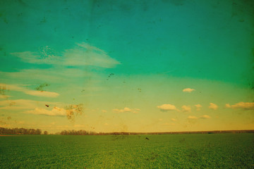Wall Mural - green field