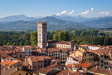 Wall Mural - Lucca, Italy