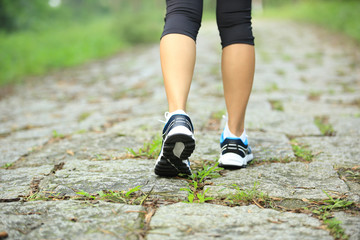 Wall Mural - young fitness woman hiker legs walking on forest trail
