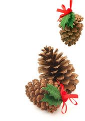 Sticker - Pine Cones