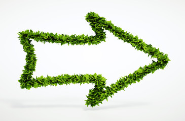 Wall Mural - eco right arrow icon