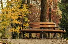 Autumn In Maksimir Park, Bench Around The Tree