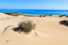 Sand Dunes In Corralejo National Park, Fuerteventura Island