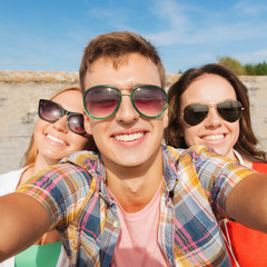 Sticker - group of smiling friends taking selfie outdoors