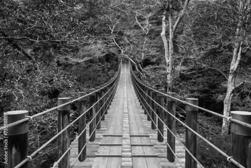 Fototapeta na wymiar Shiomi Falls Suspension Bridge