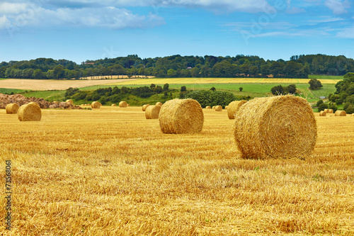 Obraz w ramie Golden hay bales in countryside