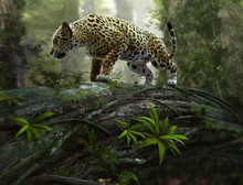 Jaguar On The Prowl, 3d CG