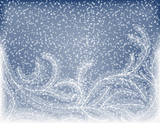 Wall Mural - Fir branches