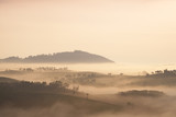 Fototapeta Na ścianę - Mountain and fog in the morning