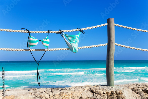 Fotografie, Obraz Blue woman's swimming suit hanging on white ropes